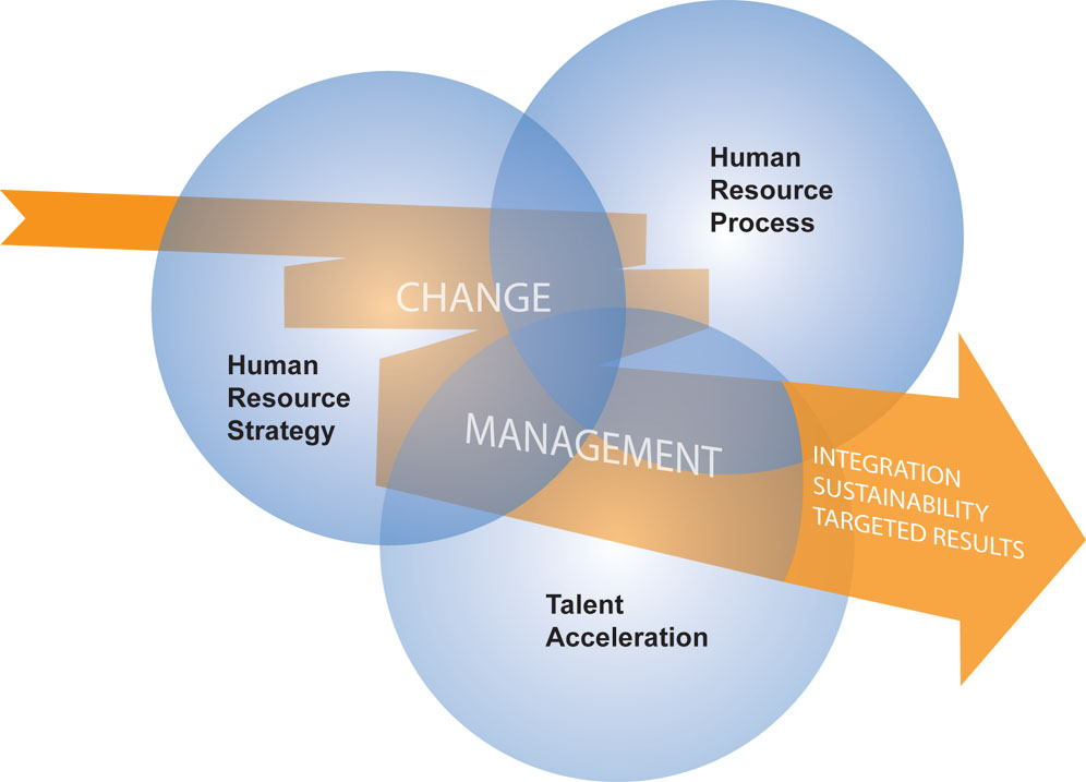 human resource and management essay human resource and management essay